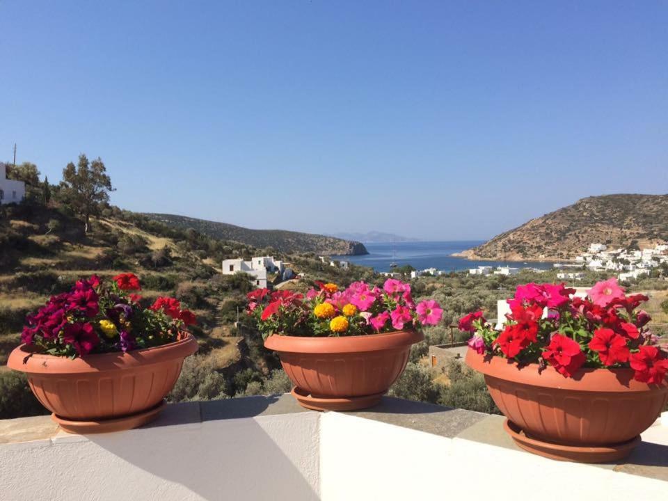 Villa Costa Studios Vathi (Sifnos) Exterior foto